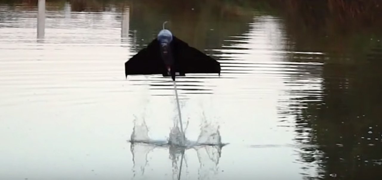 'Drone peixe-voador' é capaz de decolar mesmo se estiver debaixo d’água