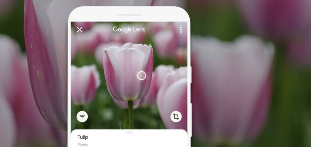 Chrome permite a pesquisa por imagens com Google Lens; veja como