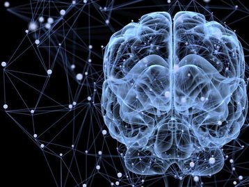Rede de nanofios mostra comportamentos como os do cérebro humano