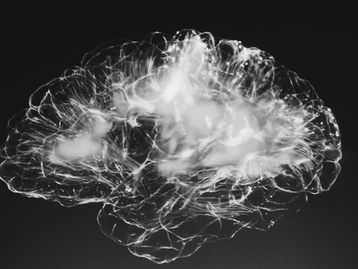 Descoberto mecanismo que pode ser responsável pela consciência humana