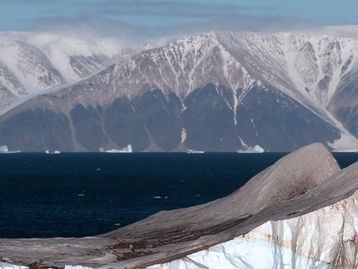 YouTube espalha e monetiza vídeos que negam mudanças climáticas, diz estudo