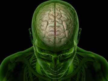 Micróglias: as células que conectam a saúde física e mental