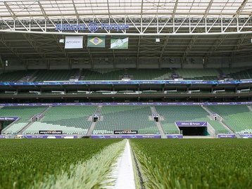 Sócios-torcedores do Palmeiras têm dados vazados na web