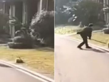 Oficiais espancam cães até a morte na China 'para evitar coronavírus'