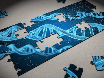 Técnica CRISPR é usada pela primeira vez para combater o câncer
