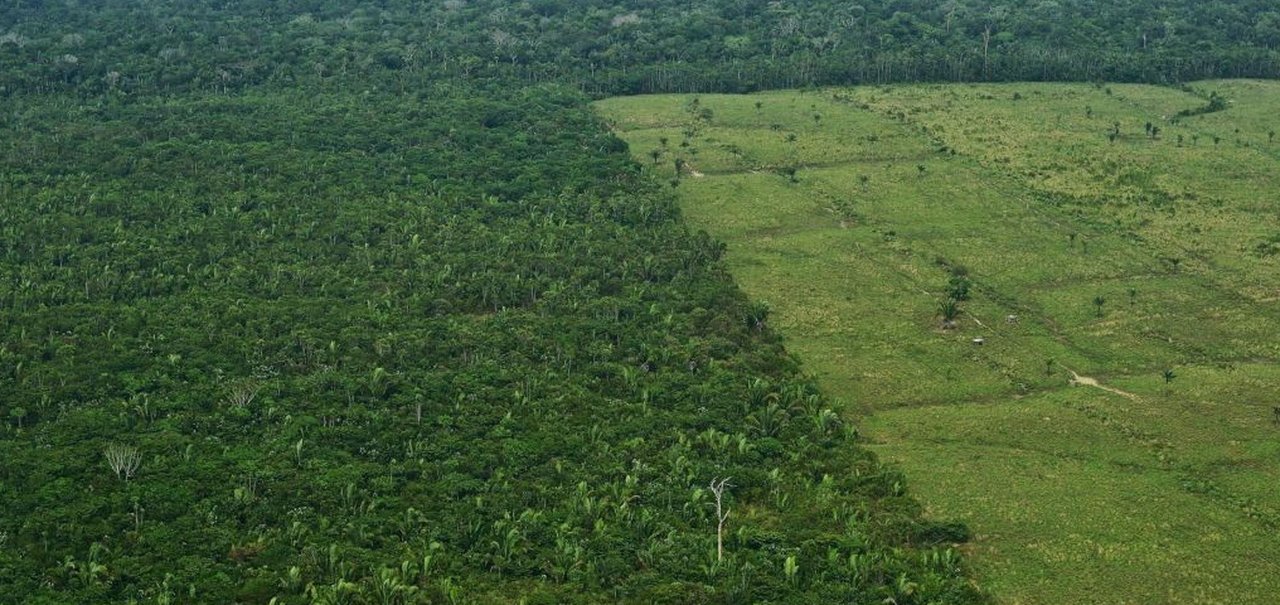 Perto de 20% da Floresta Amazônica libera mais CO2 do que absorve