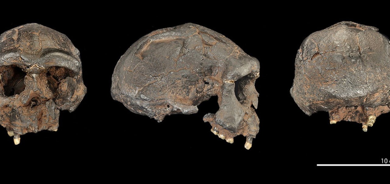 Ancestrais humanos se relacionaram com espécie desconhecida