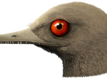 Cientistas descobrem o menor dinossauro do mundo
