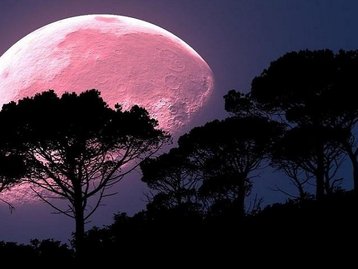 Superlua Rosa: entenda o fenômeno e como apreciar o espetáculo