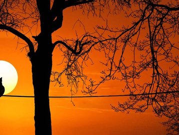 Por que o pôr do sol é tão lindo em algumas tardes?