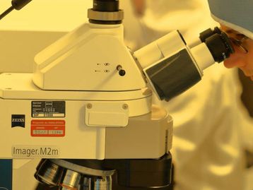 Alemanha autoriza teste de vacina contra o coronavírus em humanos
