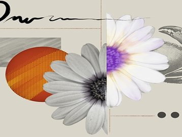 Photoshop no iPad agora tem pacote especial com Adobe Fresco