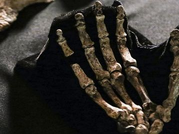 Conheça as maiores conquistas da antropologia na última década
