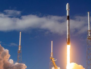 SpaceX: jacaré invadiu Centro Espacial da NASA antes do lançamento