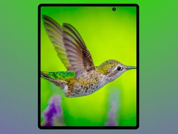 Galaxy Fold 2 aparece em imagem com buraco na tela para câmera
