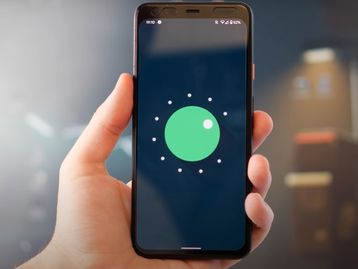 Easter-egg do Android 11 envolve botão de volume e gatinhos