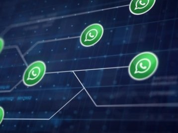 WhatsApp: estudantes brasileiros criam bot para combater Fake News