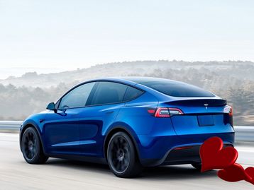 Fãs da Tesla e de Elon Musk ganham app de namoro próprio