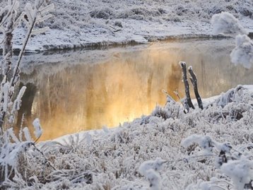 Neve no Brasil: veja o fenômeno ao vivo pela internet