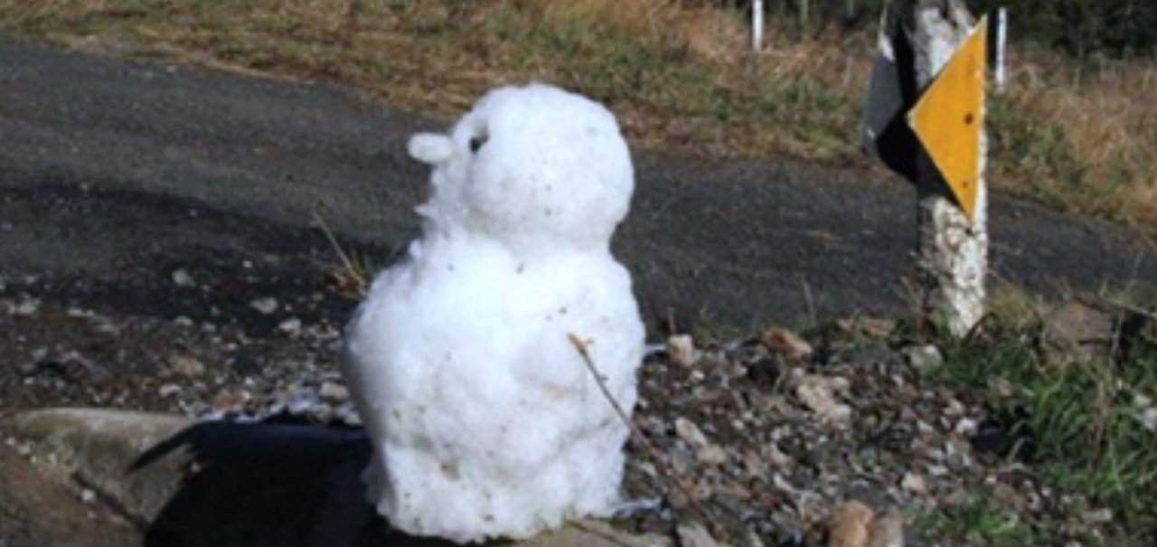 Boneco de neve brasileiro: o meme voltou