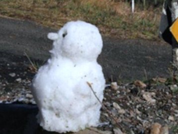 Boneco de neve brasileiro: o meme voltou