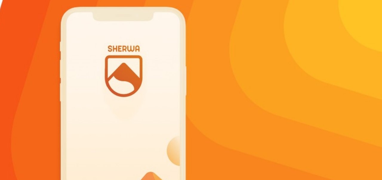 Conheça Sherwa, o app para jogadores e treinadores de games online