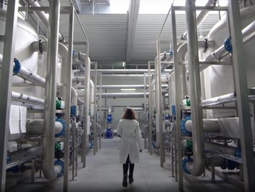 Google neutralizou toda sua 'pegada de carbono' desde a fundação