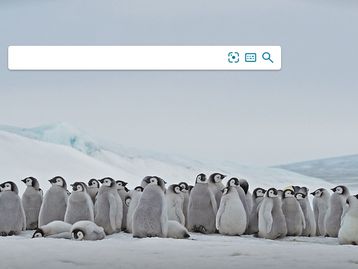 Microsoft muda logo e nome do buscador Bing