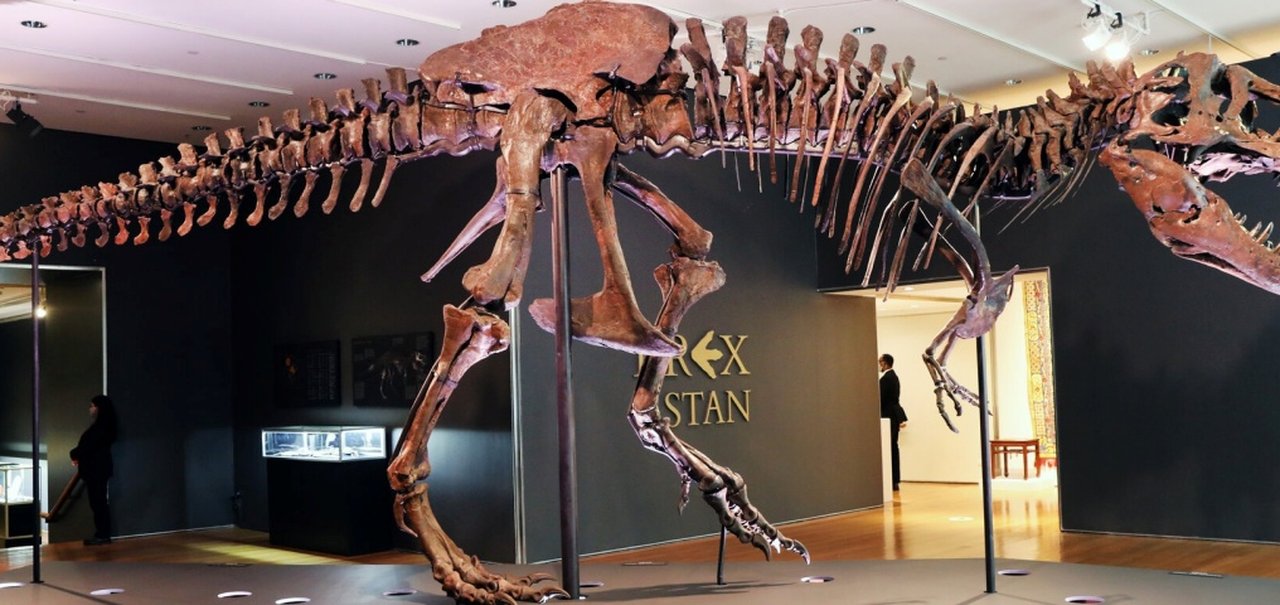 Fóssil de T-Rex é vendido por US$ 31,8 milhões em leilão