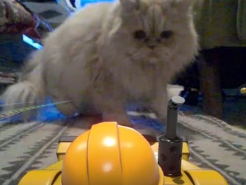 Gatos parecem odiar o novo Mario Kart Live: Home Circuit
