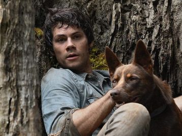 A lista dos 10 filmes mais pirateados da semana (19/10/2020)