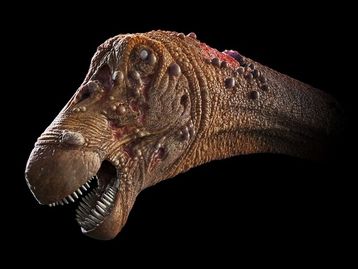 Em pesquisa inédita, paleontólogos brasileiros acham 'dino zumbi'