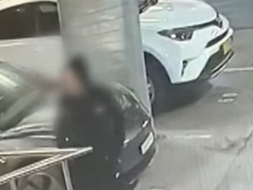 Bandidos tentam roubar Tesla e se dão mal; aplicativo ajudou dona