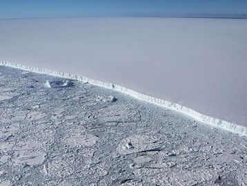 Maior iceberg do mundo pode devastar colônias de pinguins e focas