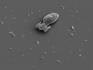 Cientistas criam partículas para ir aonde ninguém jamais esteve