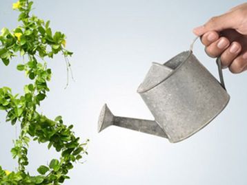 83% das startups brasileiras apoiam desenvolvimento sustentável