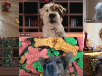 2020 não merece esse divertido comercial de Natal da Microsoft