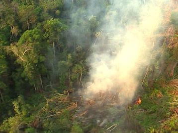 Metas ambientais de Ricardo Salles aumentariam emissões do Brasil