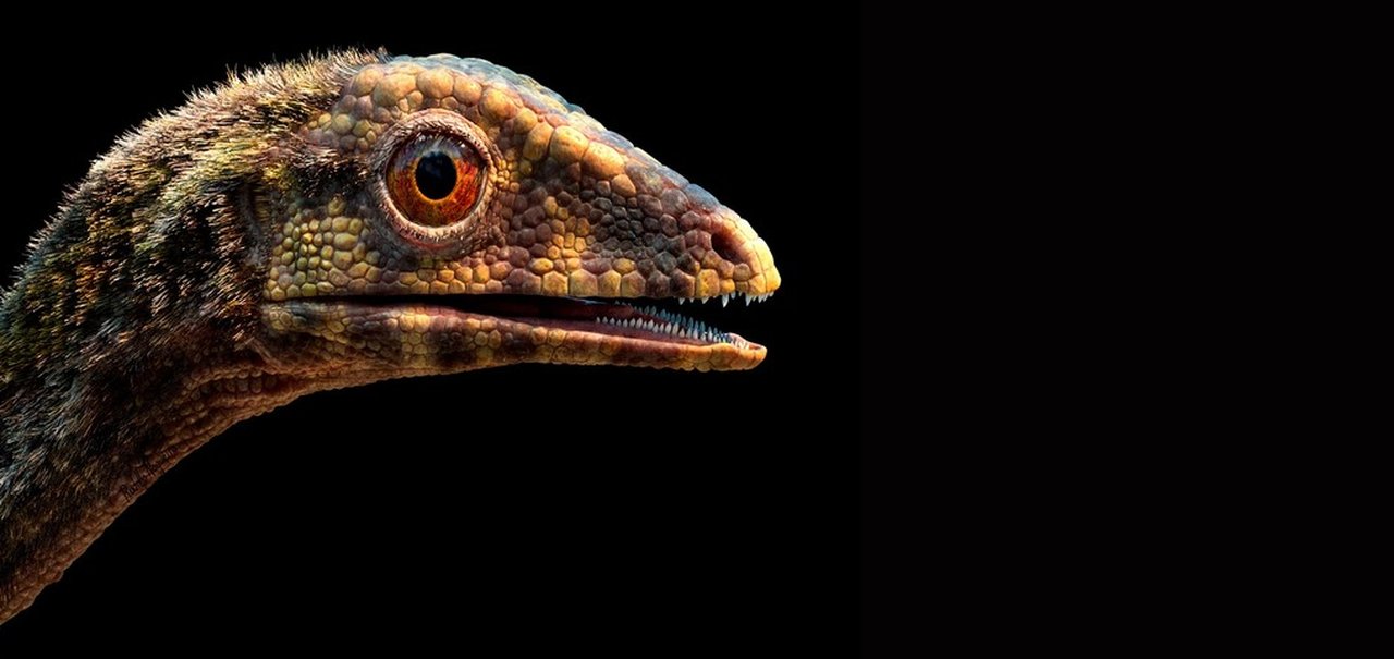 Elo perdido explica surgimento dos primeiros dinossauros voadores