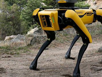 NASA cogita enviar Spot, o cão-robô, para investigar Marte