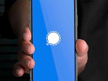 Signal apresenta instabilidades após pico de novos usuários
