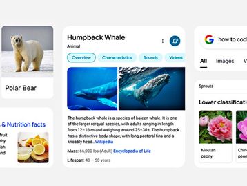 Busca no Google em celulares ganha novo design nos próximos dias
