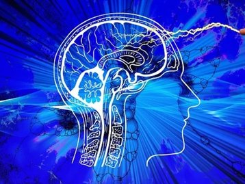 Estudo revela método para reverter o envelhecimento do cérebro