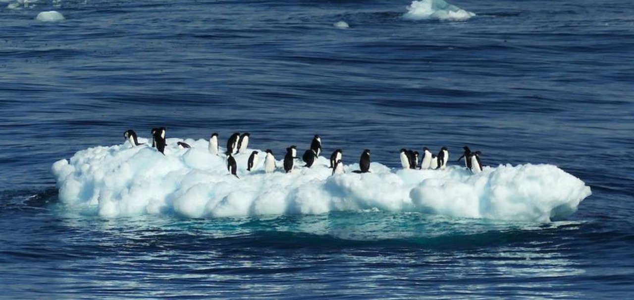 Aquecimento global acentuado não é obra da natureza, afirma estudo