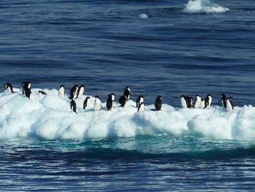 Aquecimento global acentuado não é obra da natureza, afirma estudo