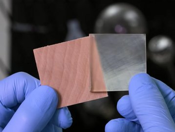 Madeira transparente é mais resistente e isolante que o vidro