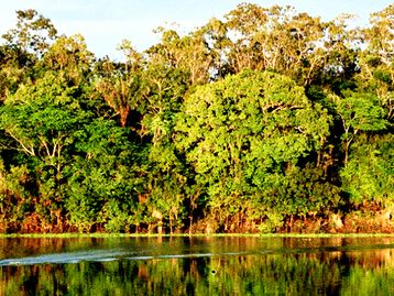 Mudanças climáticas preocupam metade dos brasileiros, aponta Ibope