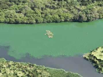 Cultivo de algas em Marte pode garantir sucesso de missões humanas