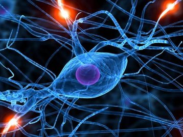 Estudo traz neurônio artificial 10 mil vezes mais rápido que orgânico