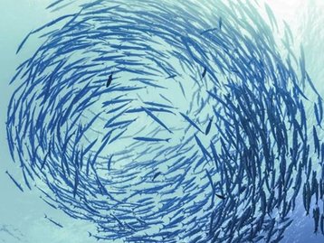 'Cardumes' de nanopartículas revelam novo estado de matéria